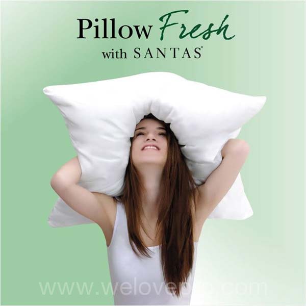 Pillow Fresh with SANTAS