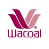 ชุดชั้นใน wacoal