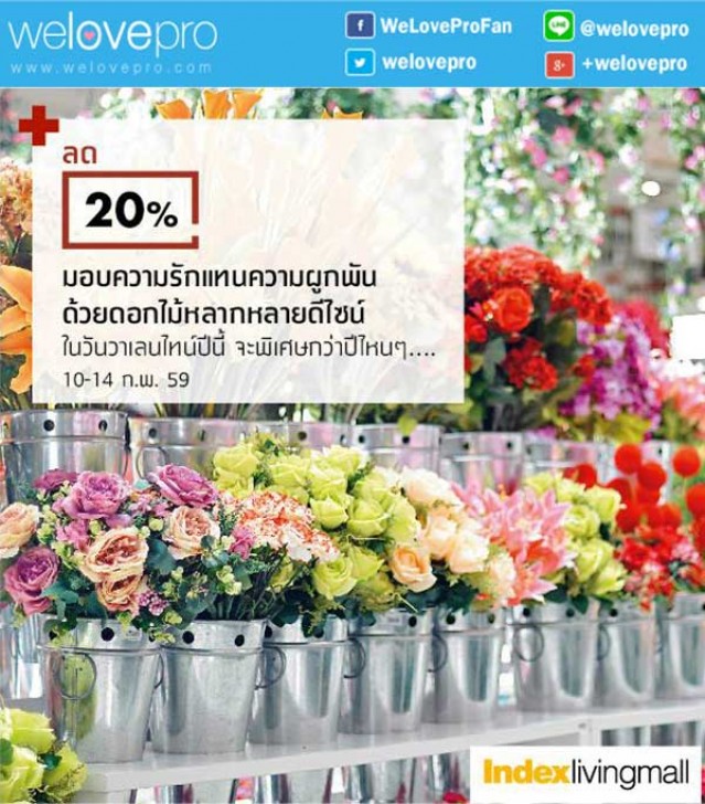 โปรโมชั่น Index Living Mall ลด 20% พร้อมดอกไม้ฉลองวันแห่งความรัก (กพ.59)